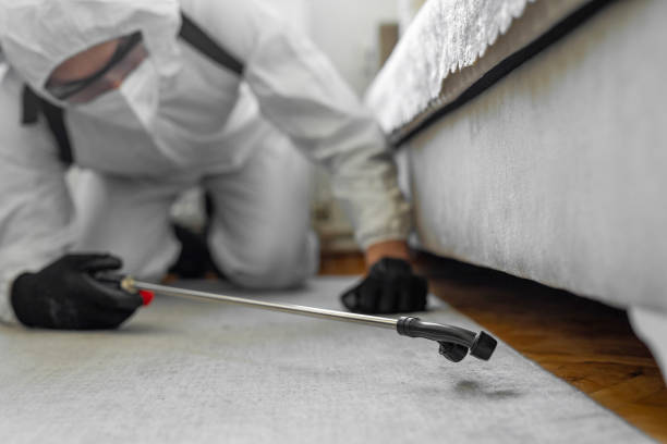 Professional Termite Control technician working in Northeast Ithaca, NY